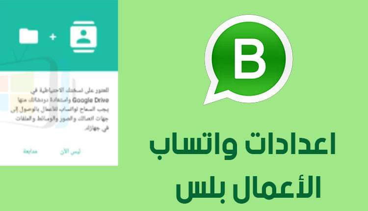 WhatsApp Business Plus Download